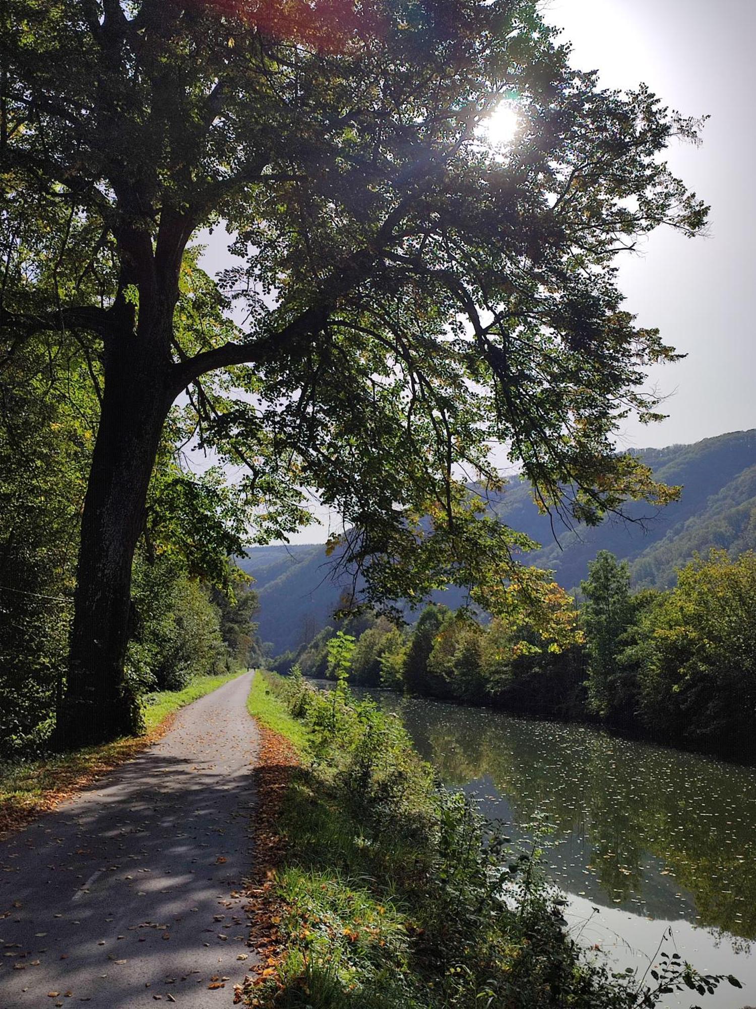 Entre Meuse et forêt Revin (Ardennes) Exterior foto